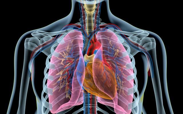 肺好百病消，肺病的“克星”已发现，每天吃一点，给肺部大扫除