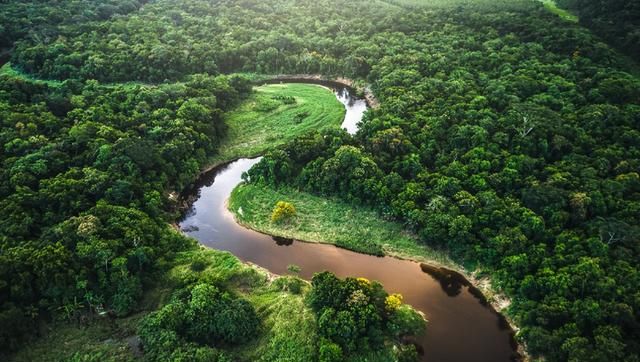 世界第二长河亚马逊河，超过3000种鱼类，当地人却不敢靠近？