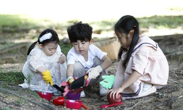 天天人参炖鸡、泡酒，请花几分钟时间弄清楚11个注意事项，很重要