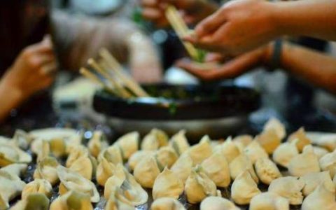 茄子全素馅饺子做法是怎样的(茄子韭菜素馅饺子的做法)