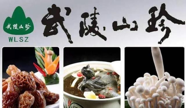 武陵山珍｜食用菌的价值