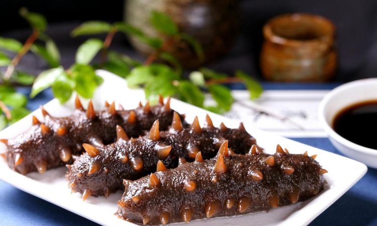 吃什么才能补肾和给肾排毒(补肾壮阳的食物以及药物有哪些)图3