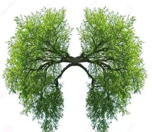 酵素作用全面解答，看完赶快喝酵素。