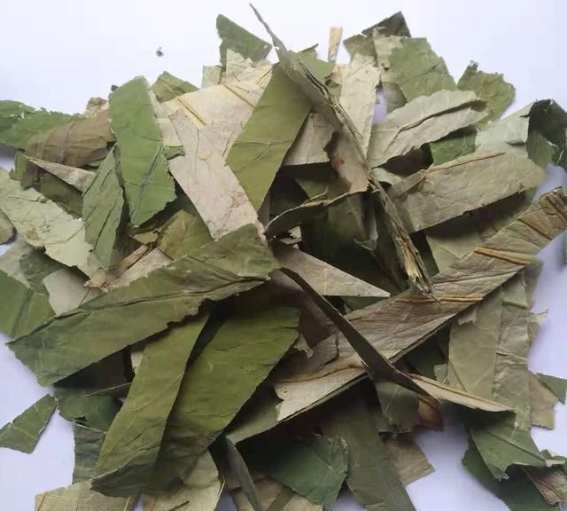 夏日必备—荷叶的功效与应用
