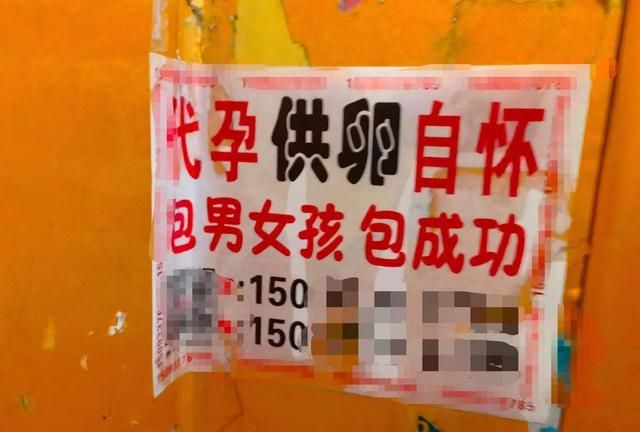 地下代孕“流水线”：长相好、学历高的“卵妹”费用更高，“代妈”怀孕后就失去自由，客户退单弃婴或被贩卖