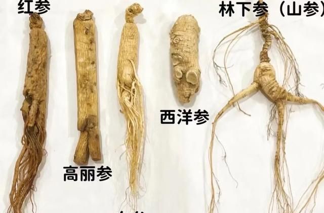 人参应该怎样选购？别划走，千万别上当啦！