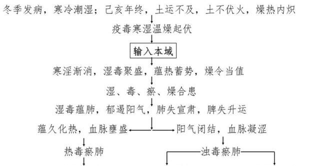 佛山发布新型冠状病毒肺炎中医药治疗方案，5个防病方法在家可用