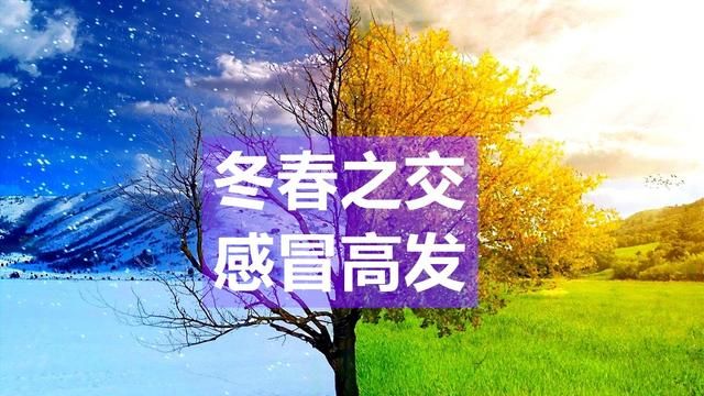 感冒咳嗽高发，这3类人饮食得当，抗病能力强才会少生病