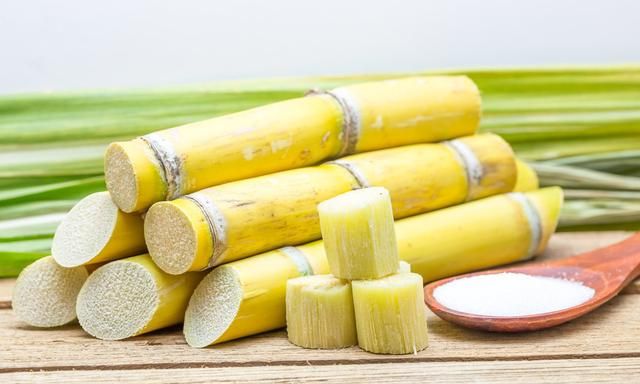 胃寒的人有什么吃上的禁忌吗,胃寒的人吃苦菊的功效与作用禁忌图3