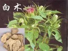 中药图片大全与功效