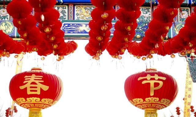 洋甘菊，春节过敏找它就对了