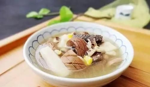 补肝肾强筋骨杜仲的功效与应用(杜仲归经作用以及功效)图3