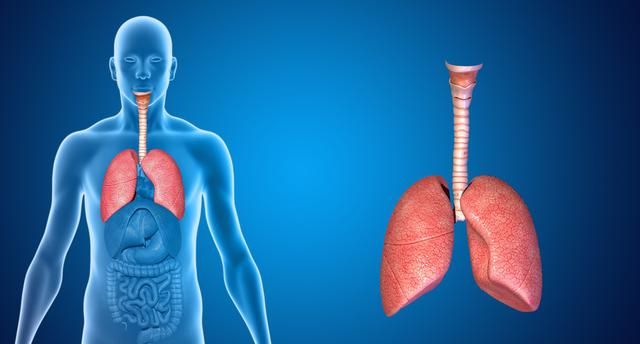 如何发现早期肺癌？医生说出诊断肺癌的“金标准”