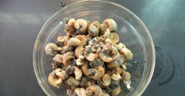 石螺可以煲咸菜吗图5
