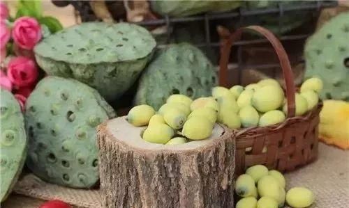 「吃货涨姿势」莲子心太苦？用来泡茶太美味了！还能防治失眠，夏日消暑静心必备！