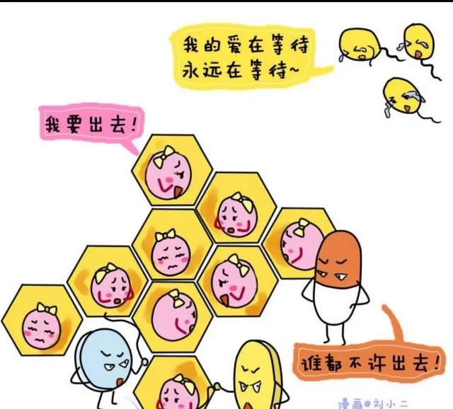 72小时紧急避孕药对身体的危害图5