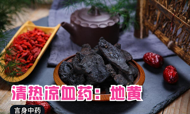言中药：清热凉血药：地黄