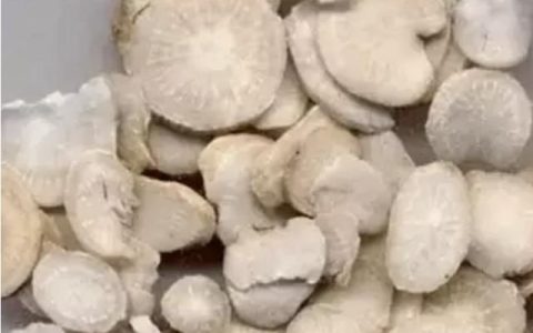 白芍是怎么样的草药呢图片,白芍是一种中草药吗