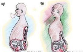 痔术后饮食护理全攻略