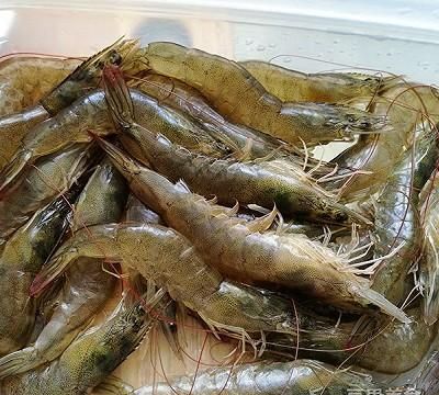 5分钟快手菜-白灼基围虾