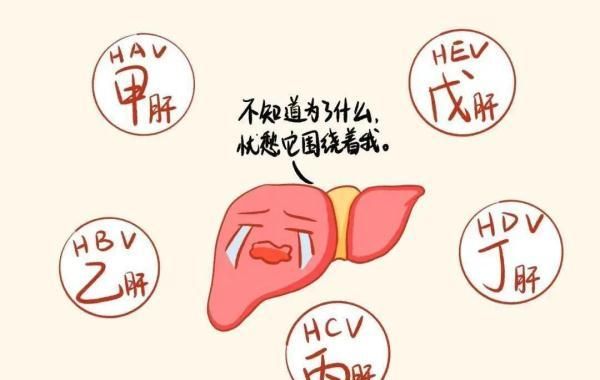 乙肝可以治愈吗？感染后该怎么办？详细解答来了→