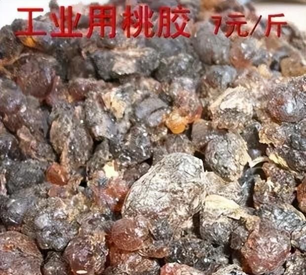 桃胶有什么用？