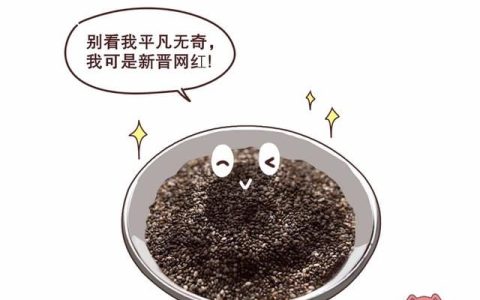 奇亚籽真的就能减肥吗(减肥食品奇亚籽)