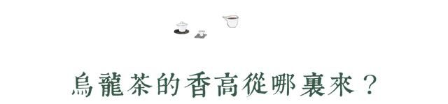 乌龙茶的滋味与香气从哪里来？