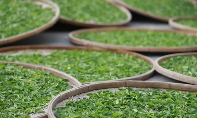 乌龙茶的滋味与香气从哪里来？