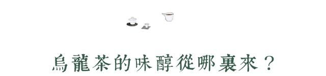 乌龙茶的滋味与香气从哪里来？