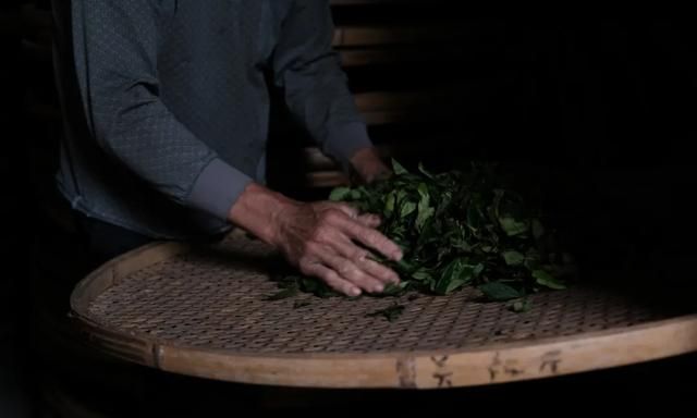 乌龙茶的滋味与香气从哪里来？