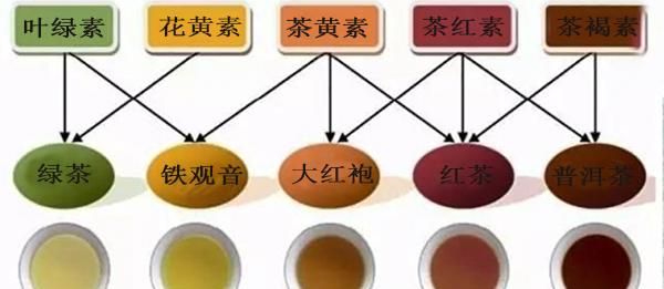 茶色素的功效与作用是什么(幽合坊茶色素的功效与作用)图5