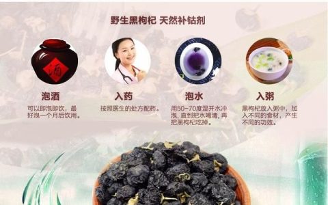 黑枸杞是什么样的(黑枸杞泡水是什么样的)