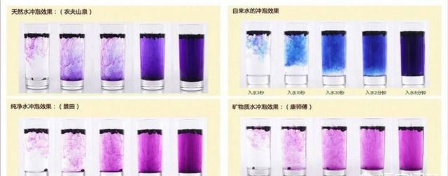黑枸杞是什么样的(黑枸杞泡水是什么样的)图5