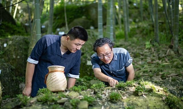 霍山石斛：一株秀出满园春