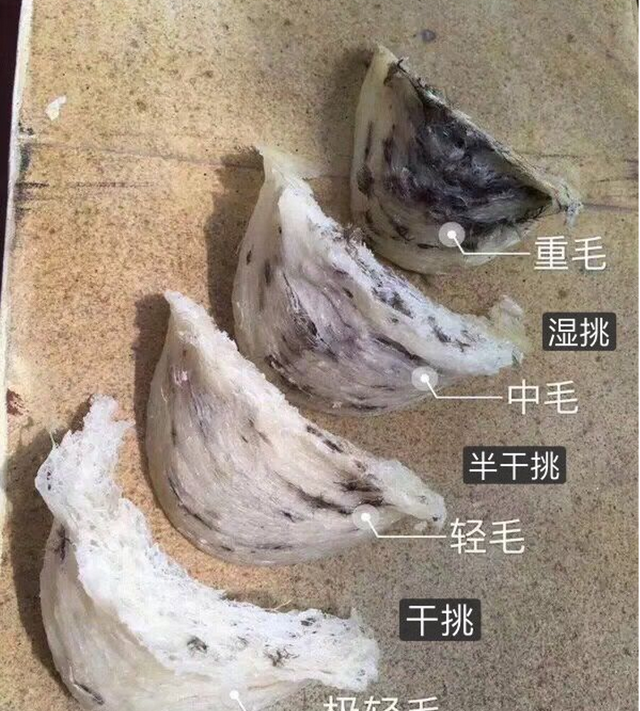 燕窝的功效是真是假？弄懂这些问题可以免交智商税