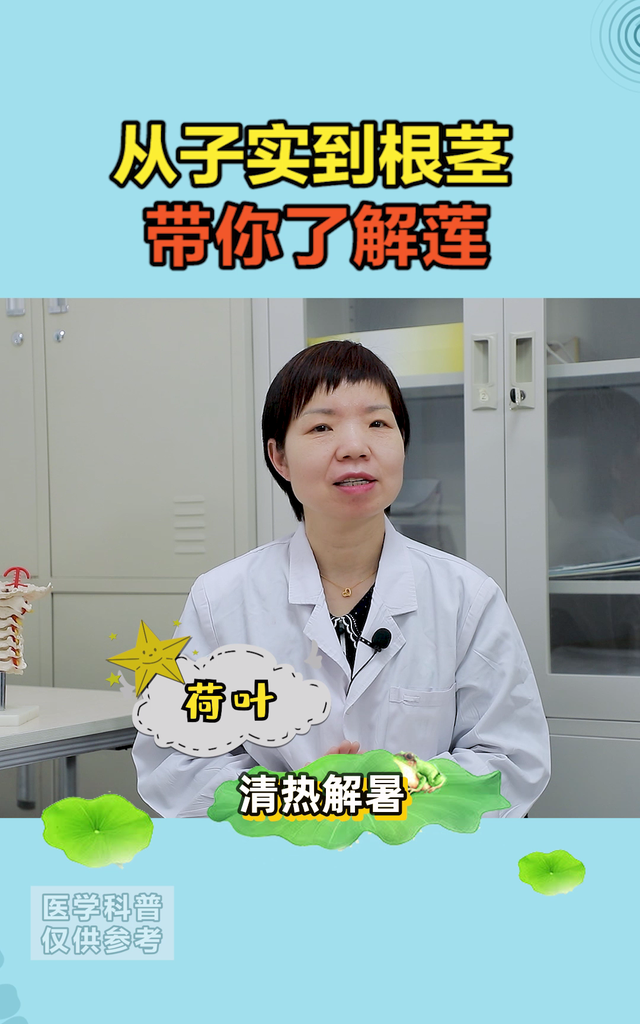 从子实到根茎，带你全方位了解莲的功效