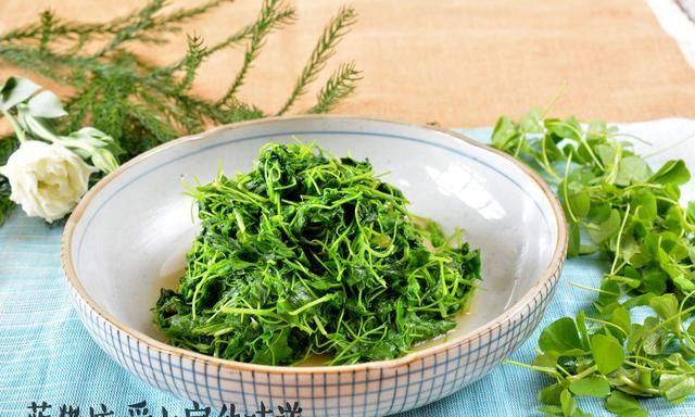 春季特供，利肠舒筋的酒香金花菜