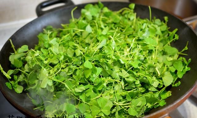 春季特供，利肠舒筋的酒香金花菜