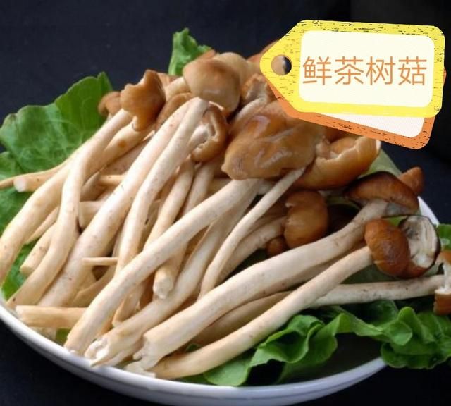 香菇平菇杏鲍菇金针菇区别(鸡腿菇香菇金针菇平菇)图5