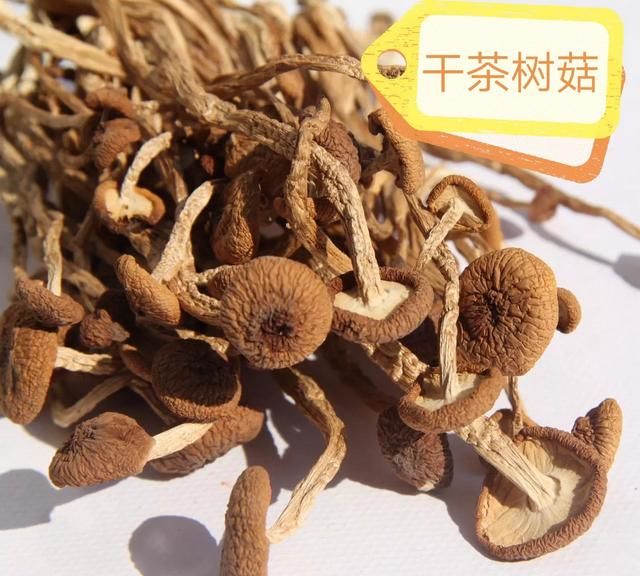 香菇平菇杏鲍菇金针菇区别(鸡腿菇香菇金针菇平菇)图6