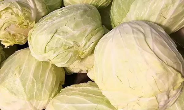 只要两元钱一斤的它 却是排毒抗衰老的“特效药”