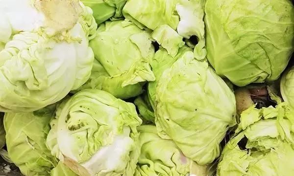 只要两元钱一斤的它 却是排毒抗衰老的“特效药”