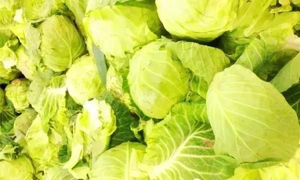 只要两元钱一斤的它 却是排毒抗衰老的“特效药”