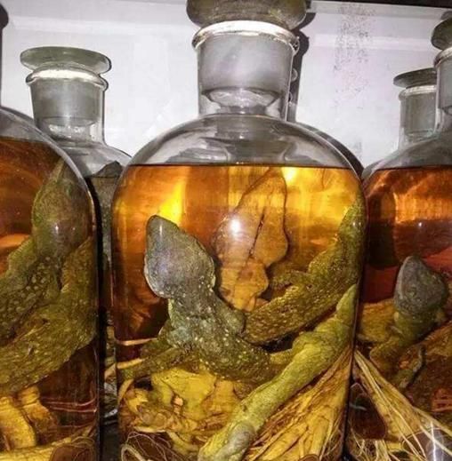 海马与蛤蚧怎么配伍(蛤蚧泡酒还可以加其他的材料吗)图1