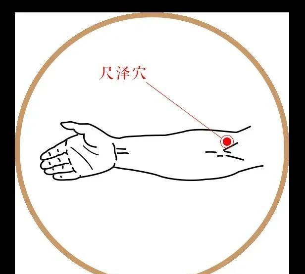 尺泽穴，又被称为中医的止呕穴，和胃清热治疗肠胃炎呕吐的要穴