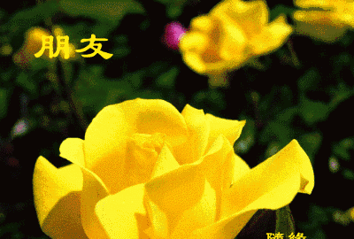隐藏在身边的致癌物苯并芘图4