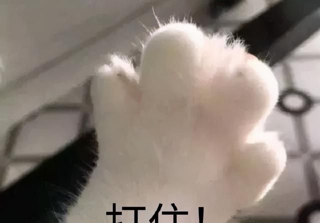 秋冬泡温泉好处多，但有些人不一定适合