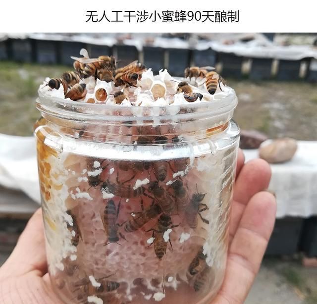 什么是蜂巢蜜？蜂巢蜜有哪些功效？
