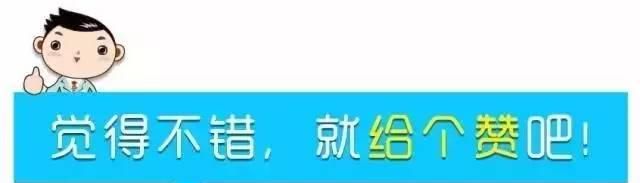 抗菌、祛痰、降压，银杏的益处可真不少